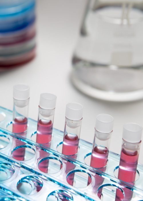 still-life-arrangement-test-tubes